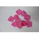 Strooiblaadjes Fuchsia