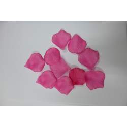 Strooiblaadjes Fuchsia