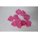 Strooiblaadjes Fuchsia