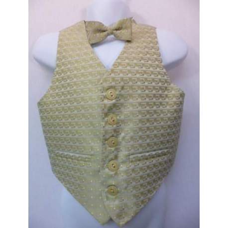 Jongensgilet goud/beige met strik