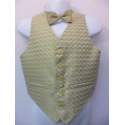Jongensgilet goud/beige met strik