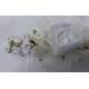 Haarkam met ivoorkleurig bloemen kd la1