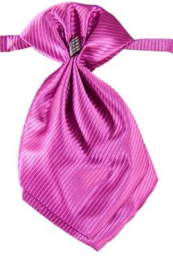 Jongens plastron paars nr.1