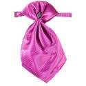 Jongens plastron paars nr.1