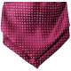 Jongens plastron rood