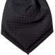 Jongens plastron zwart met rood