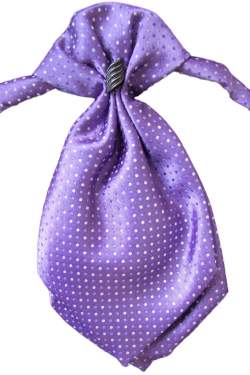 Jongens plastron paars