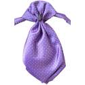 Jongens plastron paars