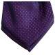 Jongens plastron paars