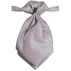 Jongens plastron grijs 
