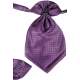 Jongens plastron paars