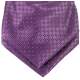 Jongens plastron paars