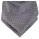 Jongens plastron grijs