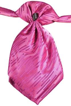 Plastron fuchsia