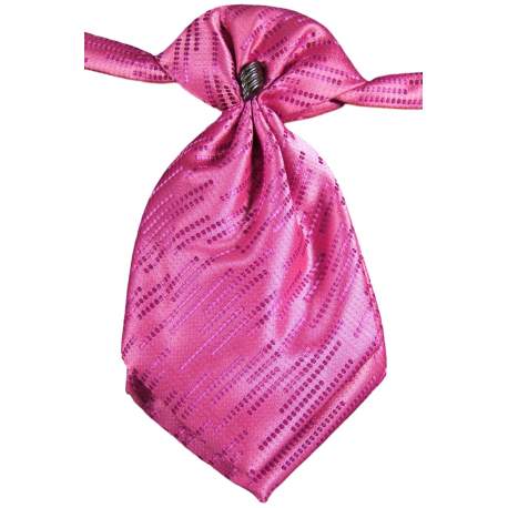 Plastron fuchsia