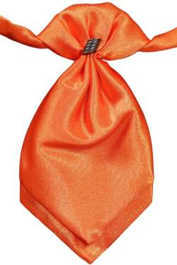 Oranje satijnen plastron