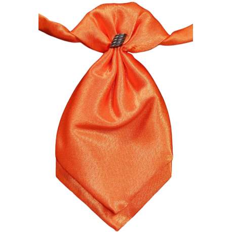 Oranje satijnen plastron