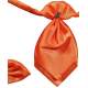 Oranje satijnen plastron
