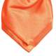 Oranje satijnen plastron