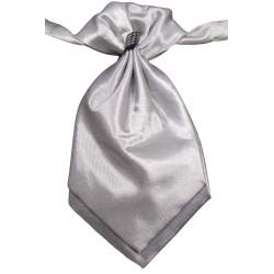 Jongens plastron zilverkleurig