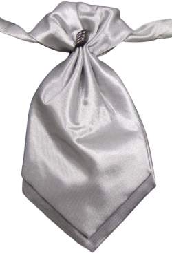 Plastron zilverkleurig