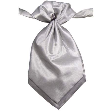 Plastron zilverkleurig