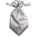 Jongens plastron zilverkleurig