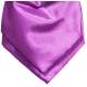 Plastron paars satijn 