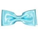 Turquoise satijnen strik