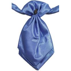 Blauwe satijnen jongens plastron